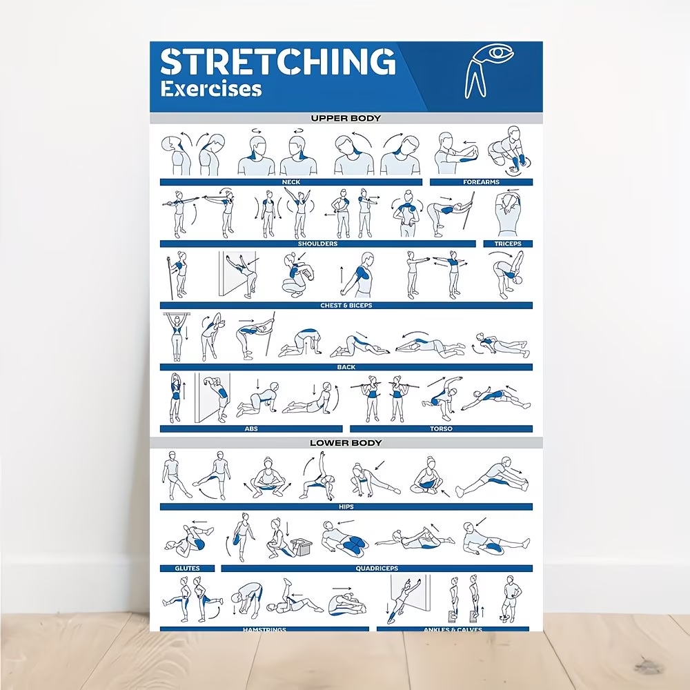 Sports Equipment Poster - Modern Etiketli Tam Vücut Germe Egzersizleri