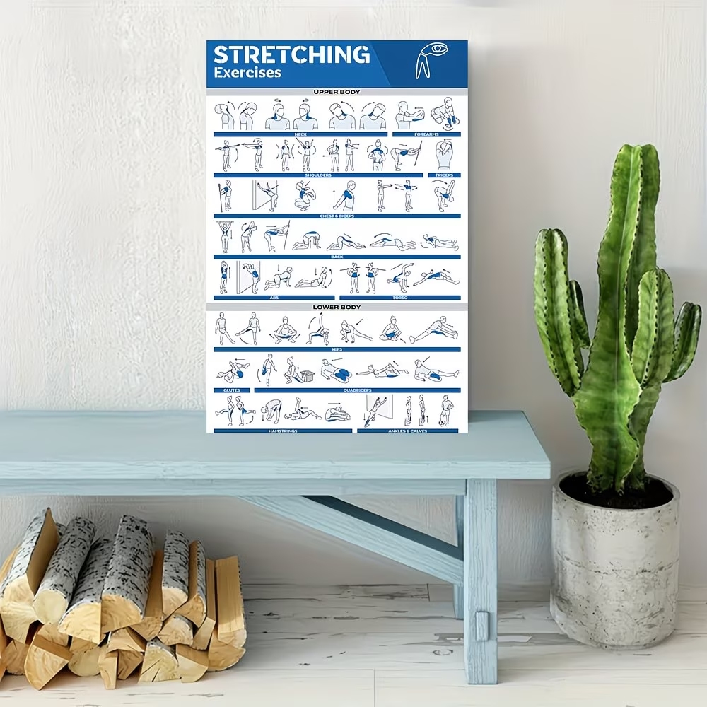 Modern Etiketli Tam Vücut Germ - Sports Equipment Poster incelemesi ve fiyatı